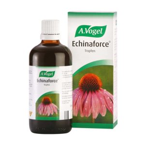 Echinaforce Tropfen 100 ml - 100ml