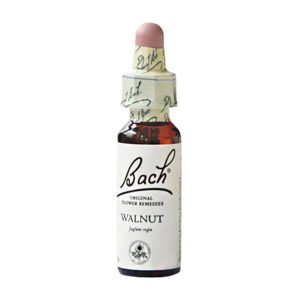 Gall Pharma BACHBLÜTEN 33 Walnut - 20ml