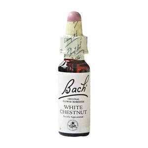 Gall Pharma BACHBLÜTEN 35 White Chestnut - 20ml
