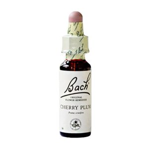 Gall Pharma BACHBLÜTEN 06 Cherry Plum - 20ml