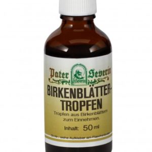 Gall Pharma Birkenblättertropfen 100 ml - 100ml