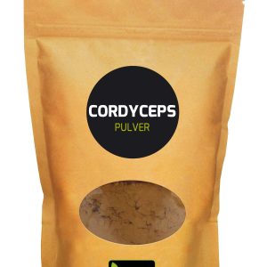 Cordyceps Pulver 100 g - 100g