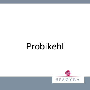 Probikehl Spagyra Kapseln 40 Stk. - 40 Stück