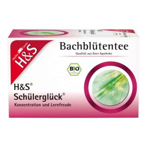 H&S Tee Schülerglück 60 g - 20 Beutel