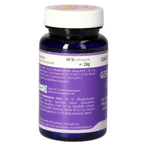 Gedächtnis - Fit Kapseln - 60 Stück