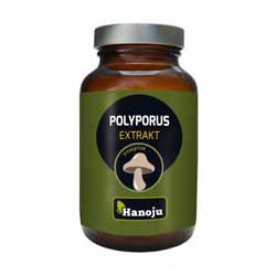 Polyporus Extrakt Tabletten Hanoju - 90 Stück