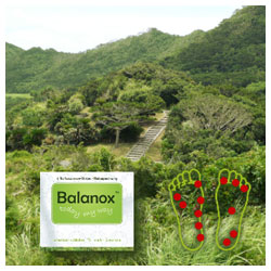 Balanox Reflexzonen-Strips Entgiftung Reisepackung - 4 Stück