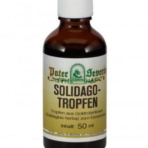 Gall-Reidinger Solidago Tropfen 100 ml - 100ml