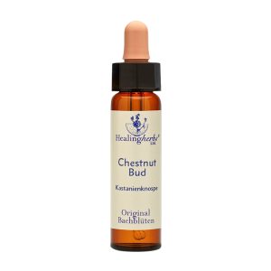 Adler Bachblüten Chestnut Bud Tropfen 10 ml - 10ml
