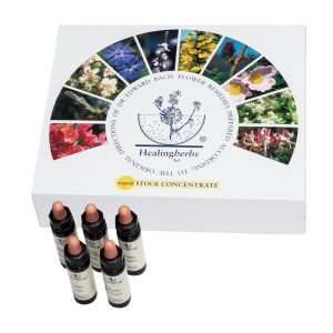 Adler Bachblüten Set mit 40 Flaschen (10 ml) im Karton 1 Pkg. - 40 Stück