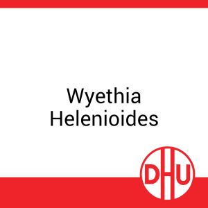 Wyethia Helenioides DHU 8 g D 30 - 8g