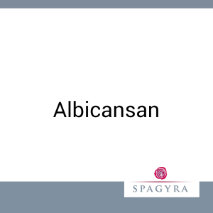 Albicansan D 3 30 g Salbe - 30g