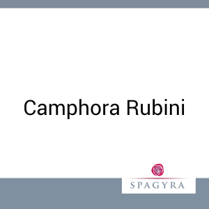 Camphora Rubini Spagyra 20 ml D 1 Dilution - 20ml