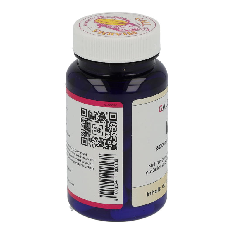 MSM 500mg Kapseln - 60 Stück