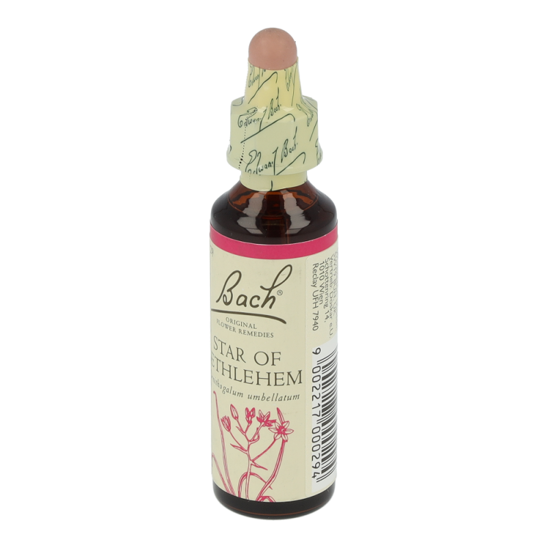 Doskar BACHBLÜTEN 29 Star of Bethlehem - 20ml