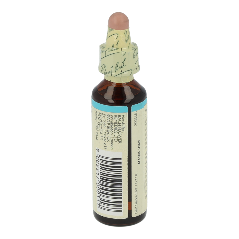 Doskar BACHBLÜTEN 31 Vervain - 20ml