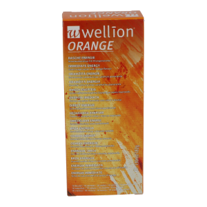 Wellion Invertzucker Sirup 10 Stk. Orange - 10 Beutel