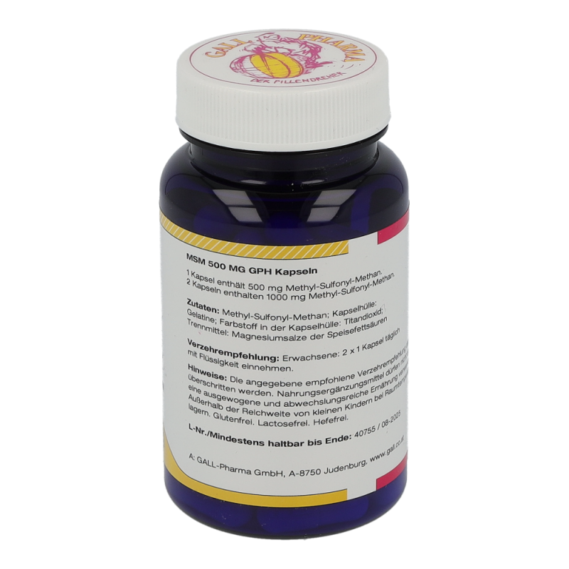 MSM 500mg Kapseln - 60 Stück