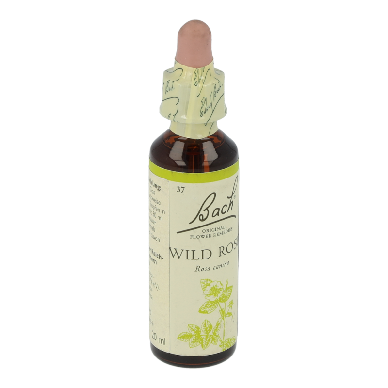 Doskar BACHBLÜTEN 37 Wild Rose - 20ml