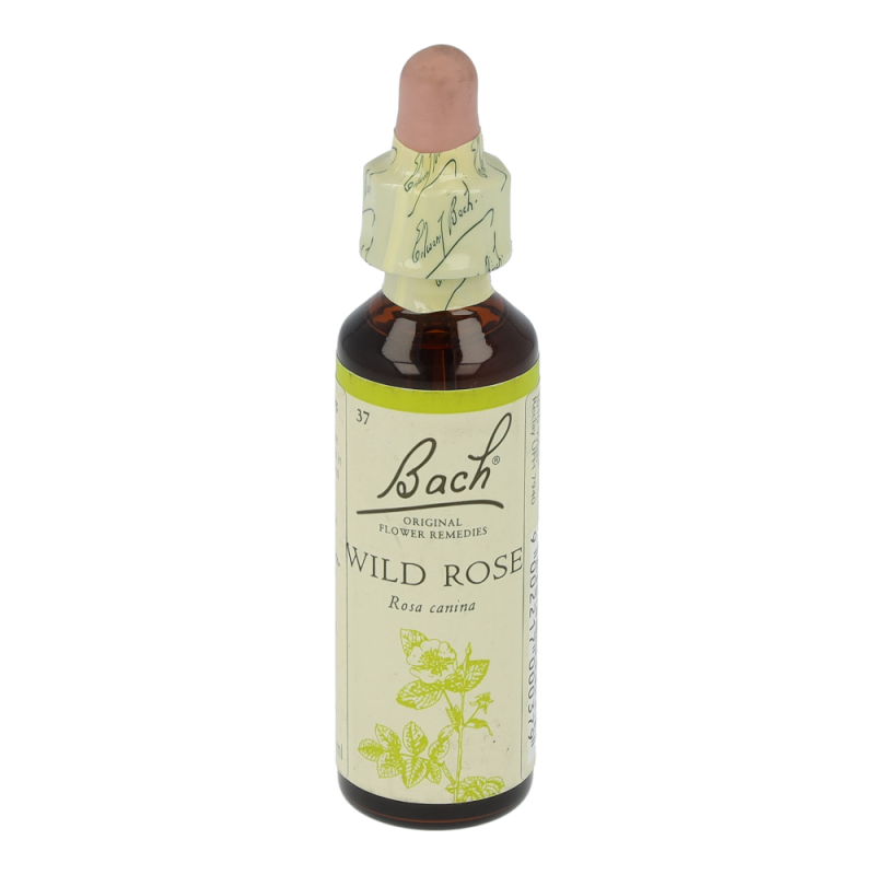 Doskar BACHBLÜTEN 37 Wild Rose - 20ml