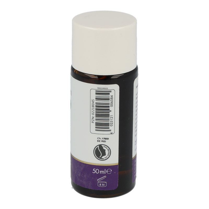 TAOASIS Hagebuttenkern Basisöl BIO 50 ml - 50ml