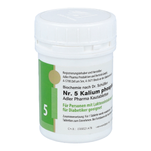 Schüßler Nr. 5 Kalium phosphoricum D6 Kautabletten 100 g - 100g