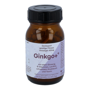 Kozbach Ginkgo Ginseng-Lecithin Kapseln 60 Stk. - 60 Stück