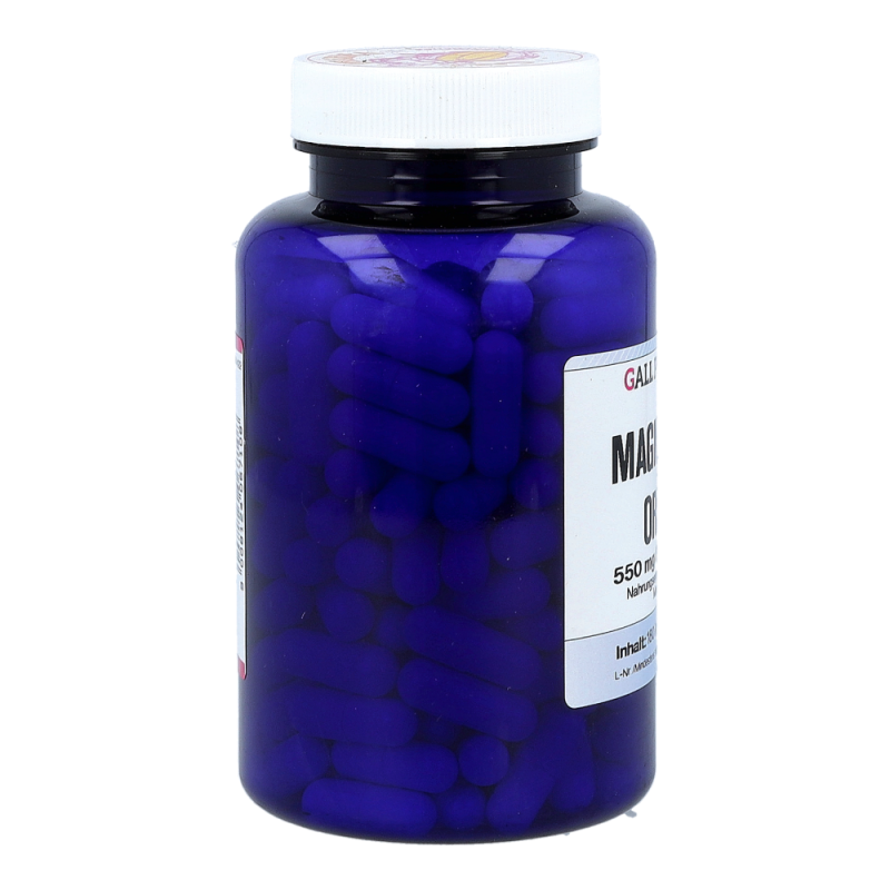 MAGN OROTAT KPS 550MG GPH - 180 Stück