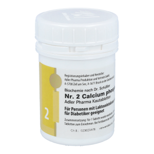Schüßler Nr. 2 Calcium phosporicum D6 Kautabletten 100 g - 100g