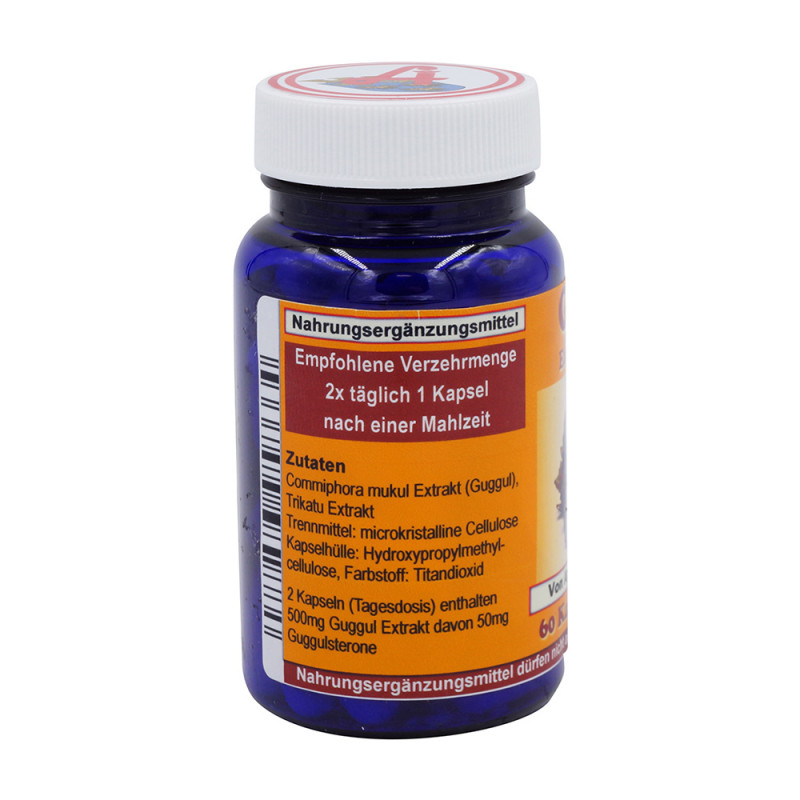 Guggul Extrakt 250 mg Kapseln 60 Stk. - 60 Stück