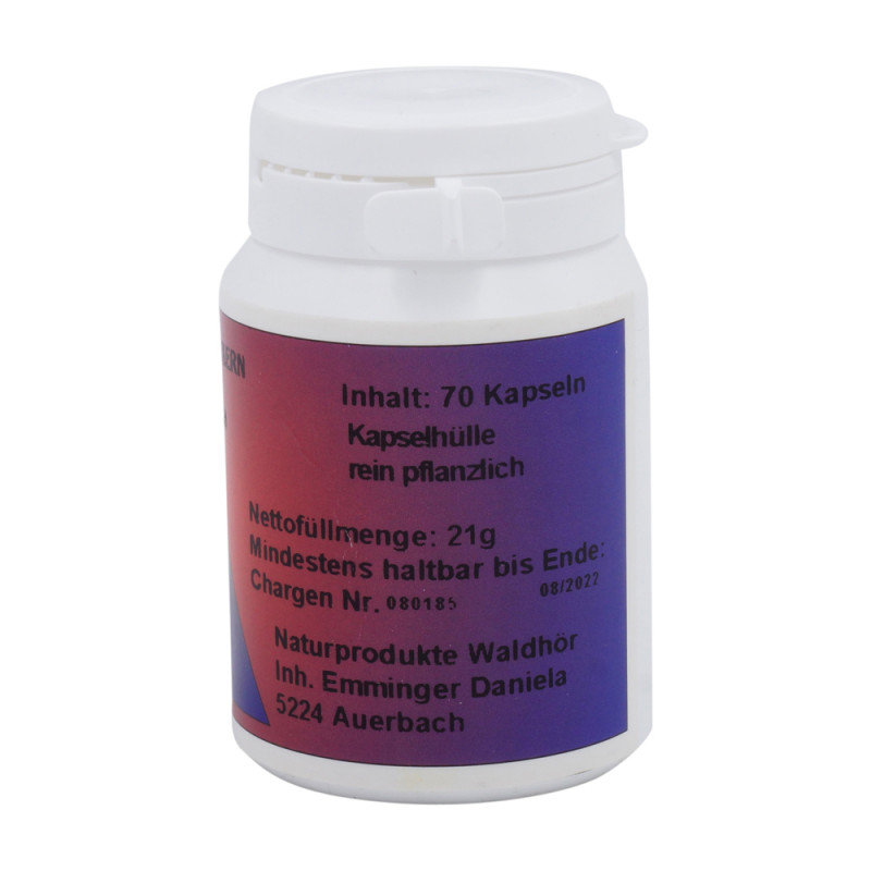 Waldhör Grapefruit Kern Kapseln 70 Stk. - 70 Stück