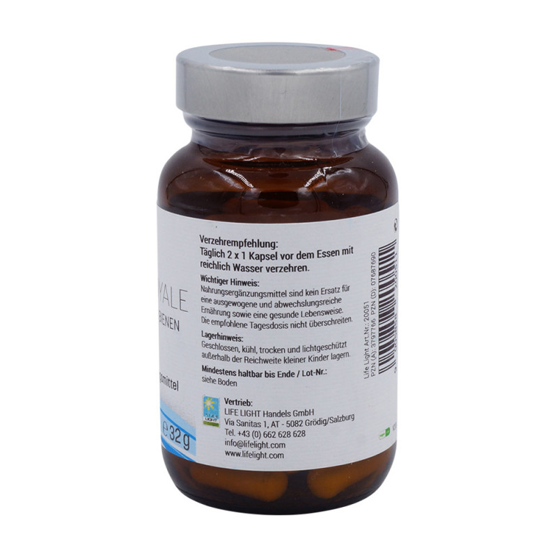 Life Light Gelee Royal Kapseln 60 Stk. - 60 Stück
