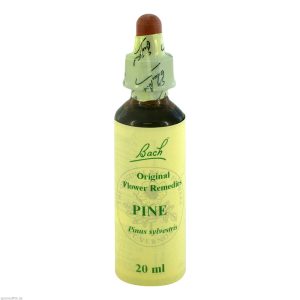 Gall Pharma Bachblüten 24 Pine 20 ml - 20ml