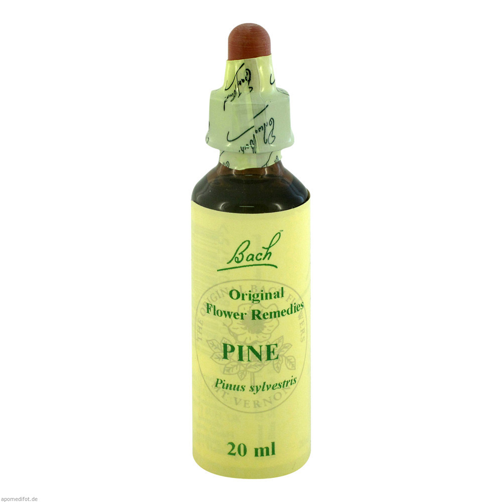 Gall Pharma Bachblüten 24 Pine 20 ml - 20ml