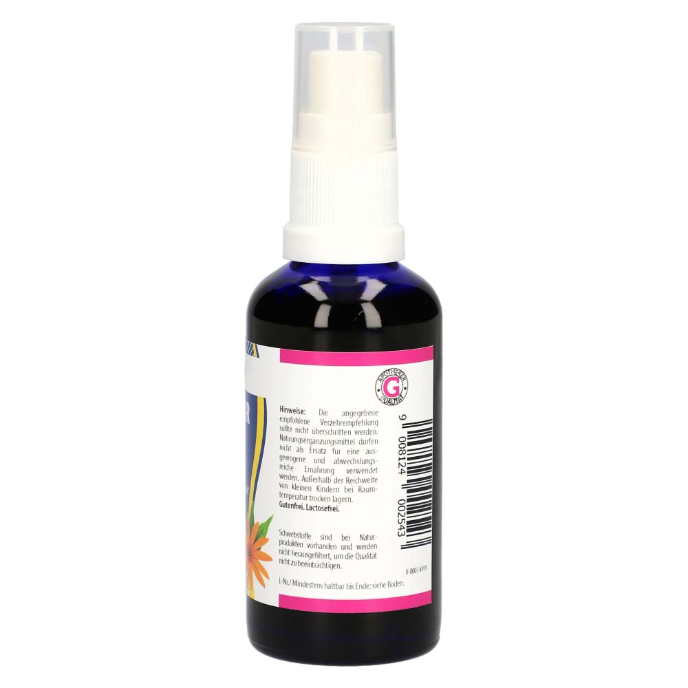 Gall Pharma Topinambur Plus Spray 50 ml - 50ml
