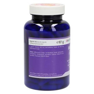 Gall Pharma Magen Fit Kapseln 180 Stk. - 180 Stück