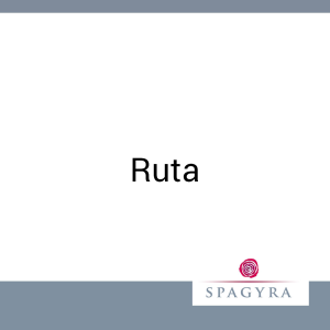 Ruta Spagyra 10 ml Urtinktur - 10ml