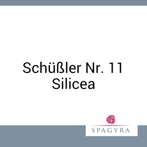 Schüßler Nr. 11 Silicea Spagyra 20 ml D 12 Globuli - 20g