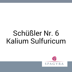Schüßler Nr. 6 Kalium Sulfuricum Spagyra 20 ml D 6 Globuli - 20g