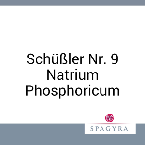 Schüßler Nr. 9 Natrium Phosphoricum Spagyra 20 ml D 6 Globuli - 20g