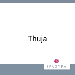 Thuja Spagyra 50 ml - 50ml