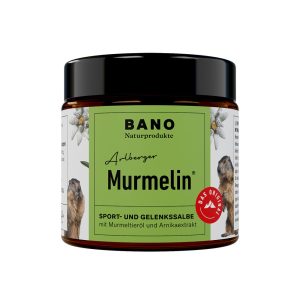 Arlberger Murmelin Sport- und Gelenkssalbe 100 ml - 100ml