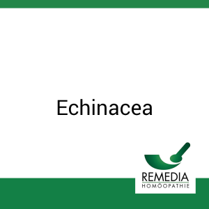 Echinacea Remedia 10 ml - 10ml