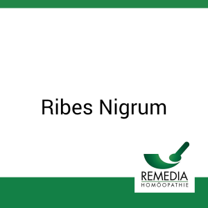 Ribes Nigrum Remedia  Urtinktur 20 ml - 20ml