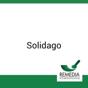Solidago Remedia 20 ml Urtinktur - 20ml