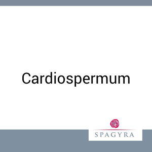 Cardiospermum Spagyra 10 ml Urtinktur - 10ml