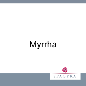 Myrrha Spagyra D 1 Urtinktur 50 ml - 50ml