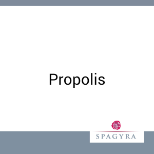 Propolis Spagyra 10 ml D 1 Urtinktur - 10ml