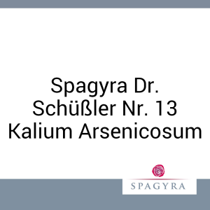 Spagyra Dr. Schüßler Nr. 13 Kalium Arsenicosum Spagyra D 12 Salbe 50 ml - 50ml