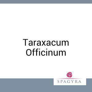 Taraxacum Officinum Spagyra 10 ml Urtinktur - 10ml
